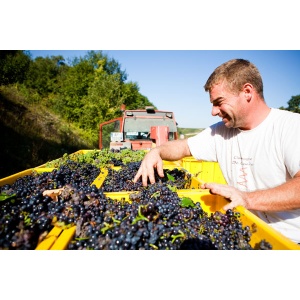 champagne-gremillet-d_bardage