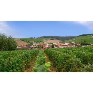 champagne-gremillet-village