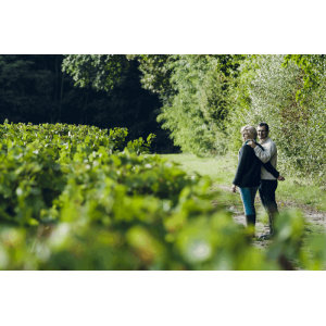 fontenay-102013-9563__site_1392403499